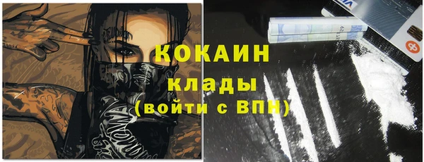 дживик Заводоуковск